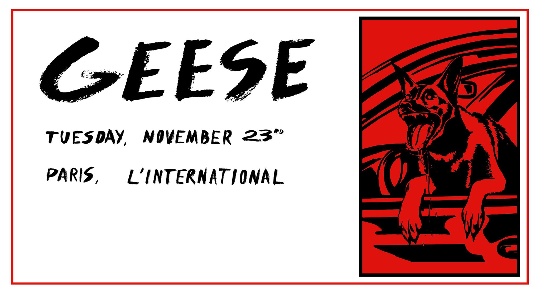 Geese : le 23 novembre 2021 à l’International (concours)