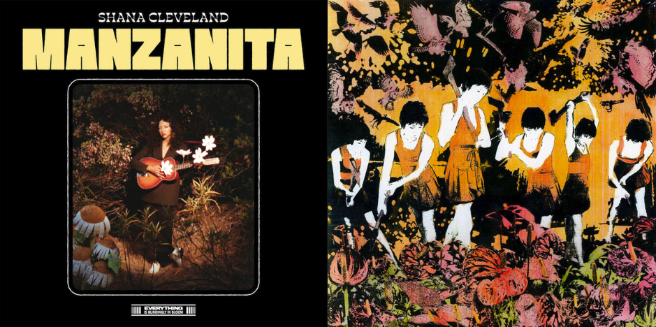 Album Shana Cleveland - Manzanita Godcaster - Godcaster