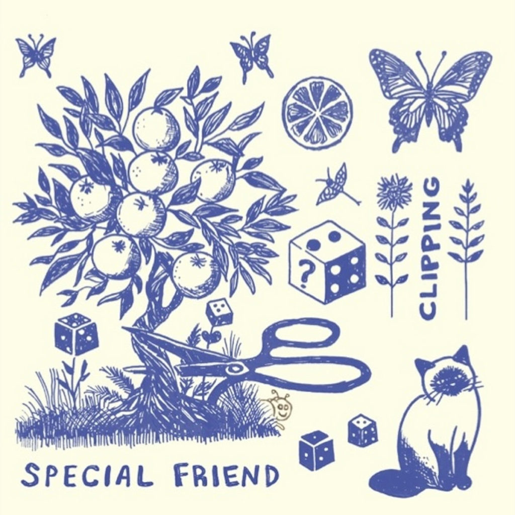 album Special Friend Clipping