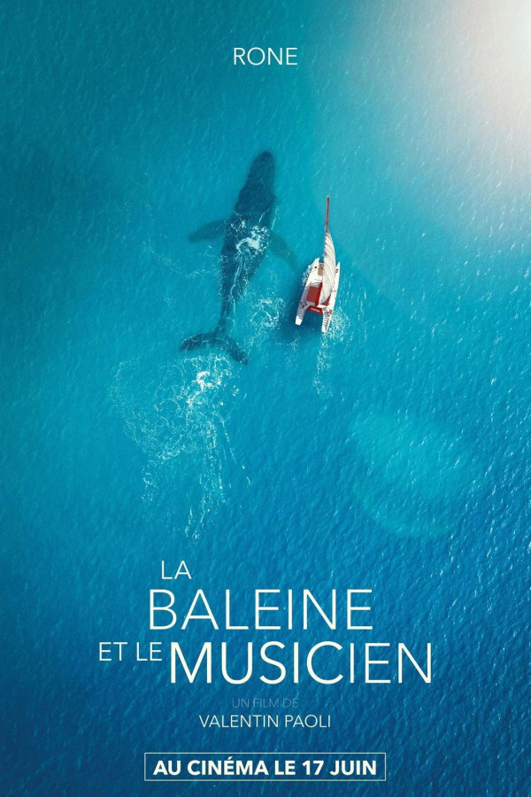 La Baleine et le musicien Valentin Paoli