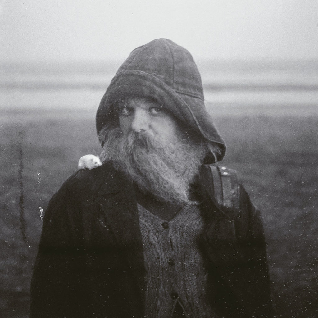 album mary in the junkyard Role Model Hermit